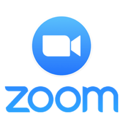 Zoom Logo